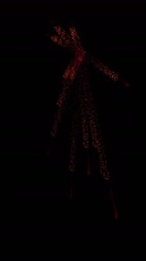 Dynamic Particle Burst Image Reveal Animation