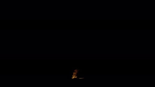 Ignite Collection: Small flames spew out from bottom center on ground on dark background shot in 4k