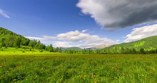 Mountain Meadow Timelapse at the Summer or Autumn Time Wild Nature and Rural Field Clouds Movement