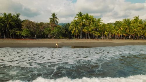 Woman walking along tropical dark sand beach with palm trees