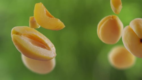 Flying Apricot and Apricots Slices in Green Garden Orchard Shiny Background