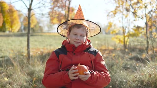 Portrait of Boy 10 Years Old in Wizard Hat Holding Pumpkin in Autumn Park