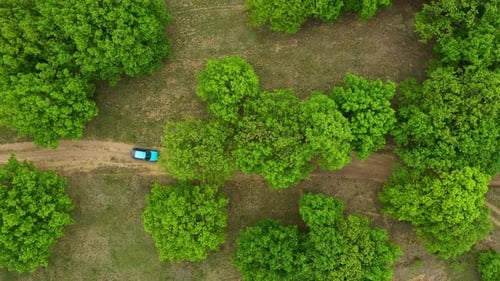 Aerial top view of a car on dirt road in the forest