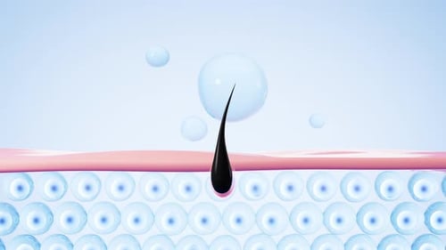 Human hair and skin tissue. Hair nourishment . 3d rendering.