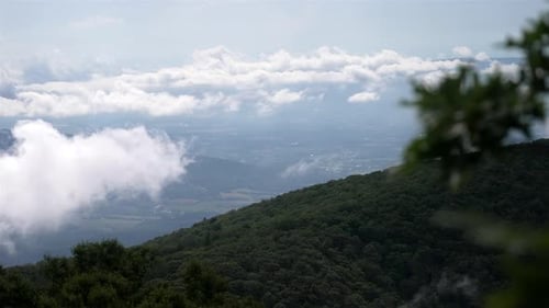 Static shot from high vantage point shows forested hillsides sloping down to vast valley. Clouds dri
