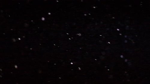 Snow Flurries on Black Background Animation