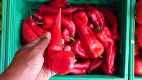 Frische rote Paprika auf dem lokalen Markt an einem sonnigen Nachmittag