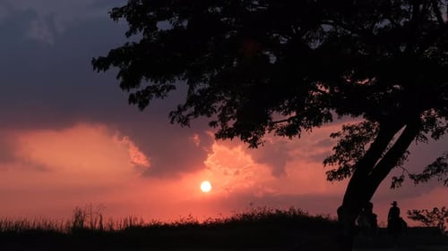 Two of cowboy ride horse run through road with sunset and evening light and tree in background.