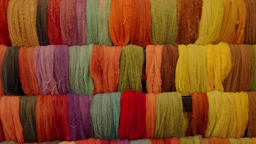 Colorful Yarn Threads Displayed in Rows for Textile Industry