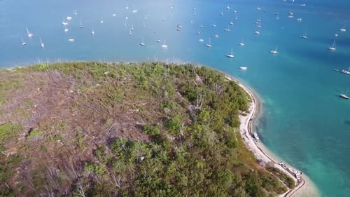 Sailboats Anchored Off Island Shore Aerial