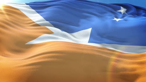 Realistic Waving Flag in Bright Sunlight