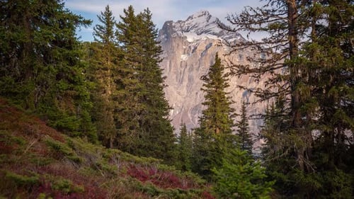 lapso de tiempo del monte Wetterhorn rodeado por un místico y colorido bosque otoñal