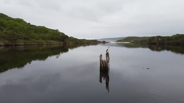 Wildlife in Torbay Inlet, a secret spot located in the south of Western ...