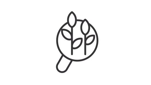 Animated Organic Query Linear Icon