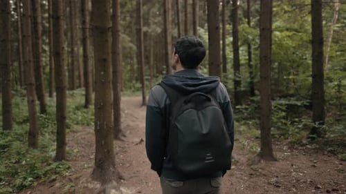 Man with Backpack Walks Through the Forest