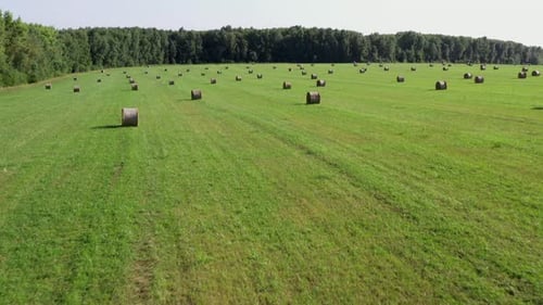 Aerial view of summer hay rolls straw field landscape. Harvest season.