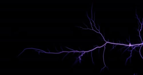 Lightning Electric Arc Discharge on a Black Background Sparkling Lightning
