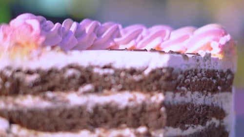 Close-Up of Delicious Layered Cake with Pink Frosting