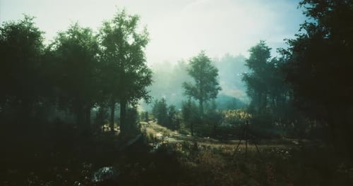 Misty Morning in a Serene Forest with Lush Trees and a Winding Path
