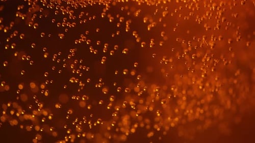 Beer Foam Rises to the Top