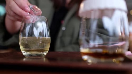 Whisky tasting at the whiskey factory in Japan