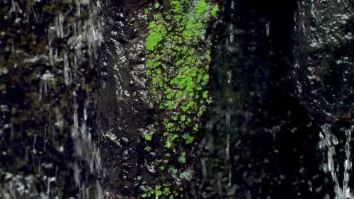 Mountain stream among the mossy stones