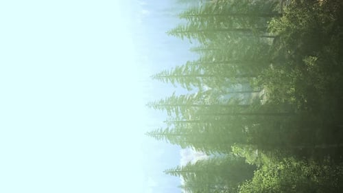 Vertical Format of Misty Mountain Forest Landscape in the Morning