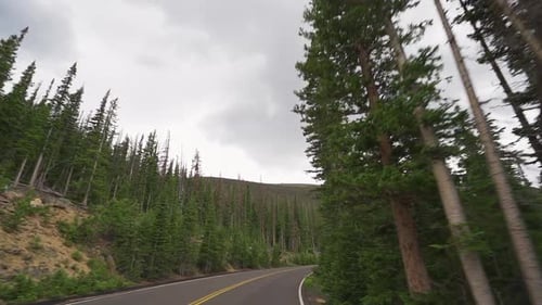 Conduite au ralenti à travers une forêt alpine.