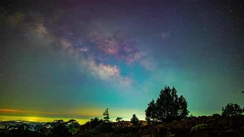 Sterne und Milchstraße in einem blauen Himmel über einer Waldlandschaft in einer Zeitrafferaufnahme.