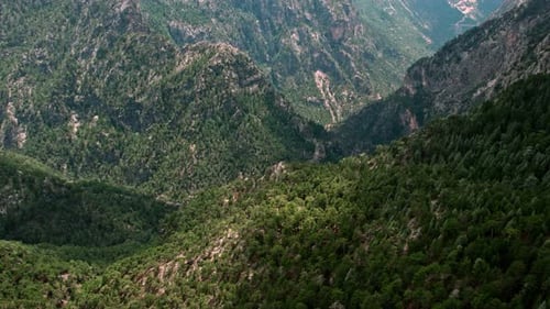Mountains And Jungle