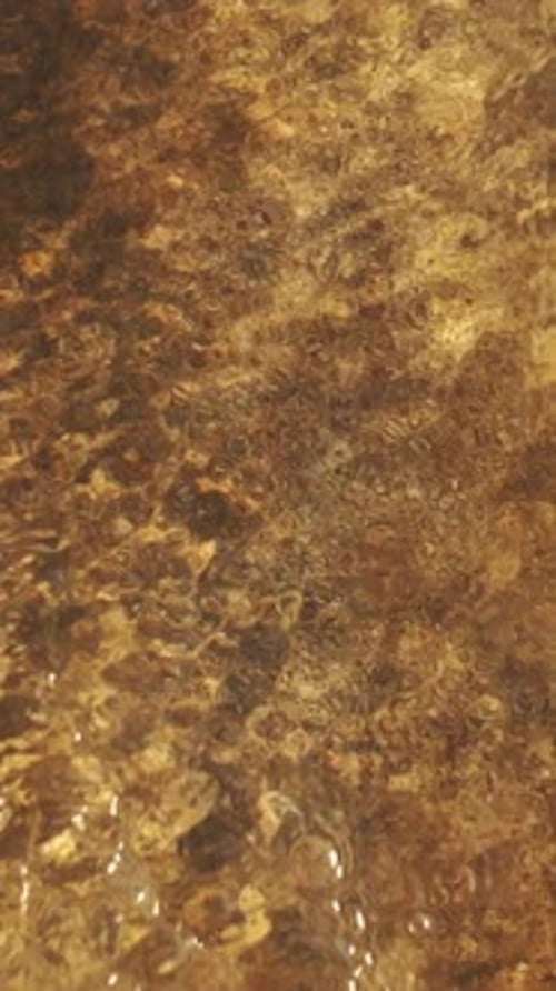 Clear Sea Water Waves Wash