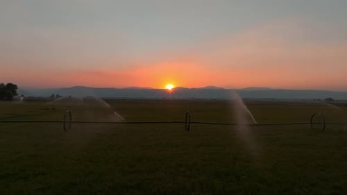 Riesige Kartoffelfelder, bewässert durch eine Pivot-Sprinkleranlage in der Nähe des Yellowstone-Nationalparks