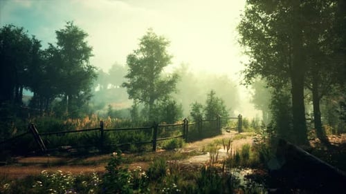A Serene Forest Landscape with a Rustic Fence and Tall Trees