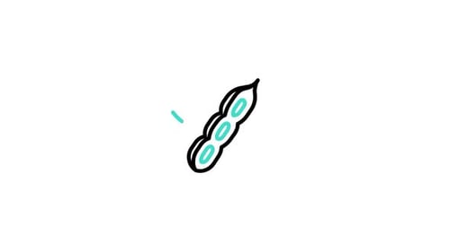 Soybeans Animated Icon