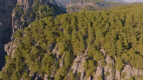 Rough Landscape