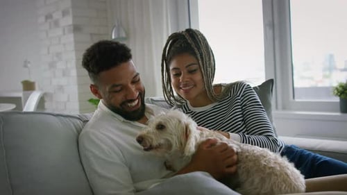 Smiling Couple Petting Dog on Gray Sofa