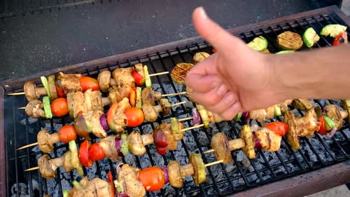 Vegetable and Chicken Skewers Cooked on Grill