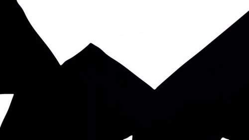 Clean Geometric Triangle Shape Reveal Transition