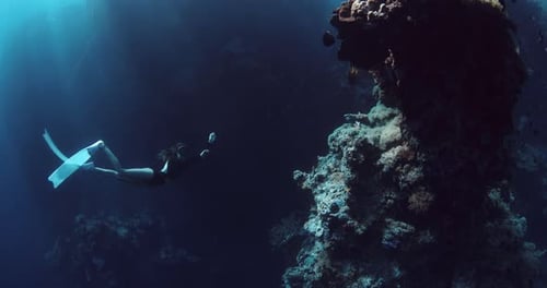 Freediver Woman Swims Between Vertical Rocks Wit Corals Underwater in Ocean