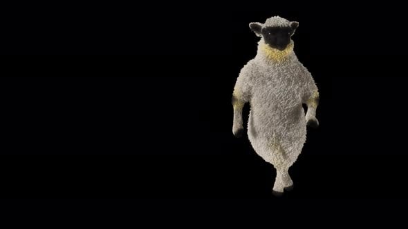 101 Slide Hip Hop Dance Sheep 4K, Backgrounds Motion Graphics ft. 3d ...