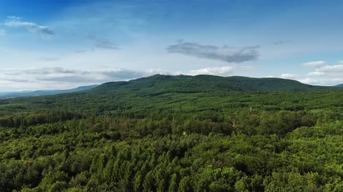 Rising above the lush green forests covering the scenery. Verdant mountains at backdrop.