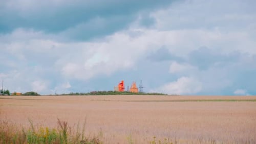 Beautiful view of field and enterprise on horizon. Landscape with wheat field and enterprise