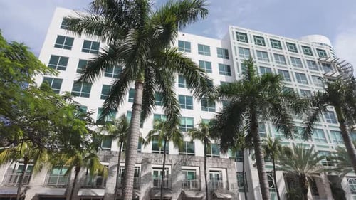 Palm trees in front of a modern white building under a bright blue sky in Miami Beach