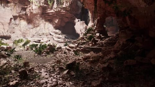 View From Inside a Dark Cave