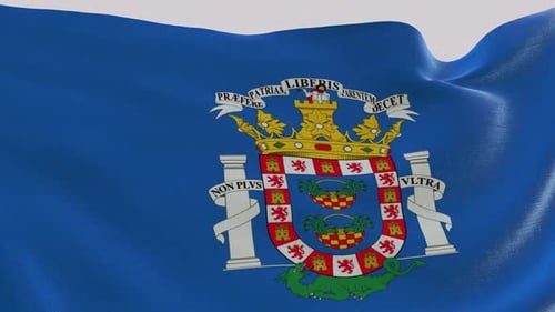 Waving Blue Flag with Detailed Coat of Arms Emblem