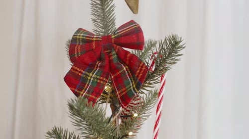 Tartan bow on Christmas festive pine branch