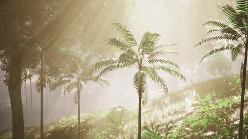 Whispering Canopy An Enchanting Gathering of Palm Trees in the Lush Jungle