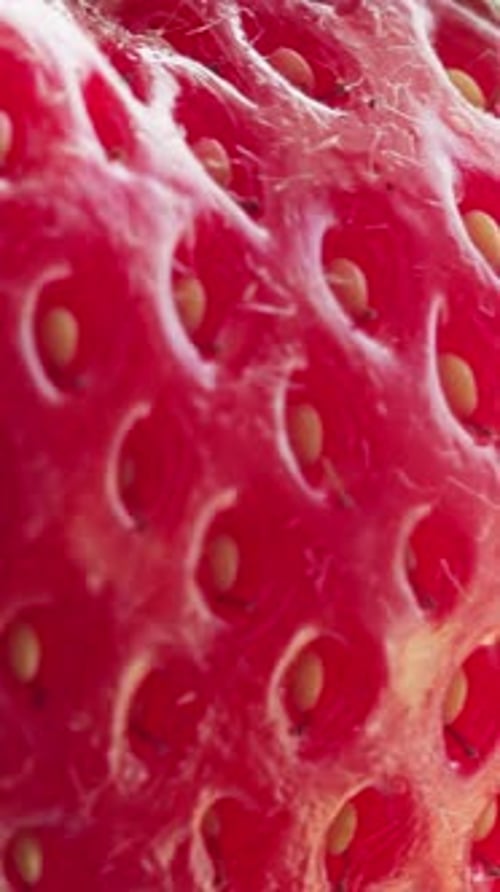 Vertical View Of Strawberry