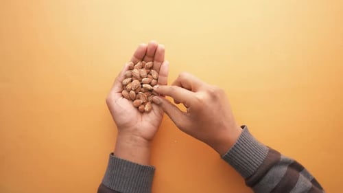 Close Up of Almond Nuts on Man's Hand