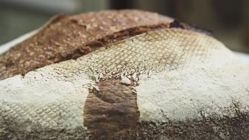 Artisan Bread Close Up of Rustic Loaf